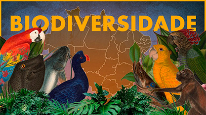 biodiversidade Fauna Brasileira e seu Impacto no Meio Ambiente santosfauna ambiental