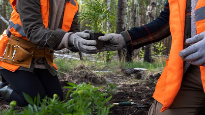 Como prevenir riscos ambientais no trabalho em santosfauna